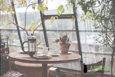 优秀骨干教师工作总结范文5篇