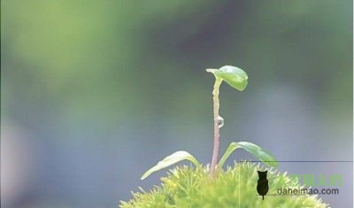 管理工作汇报材料8篇