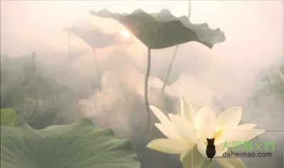 自我评价与总结通用5篇