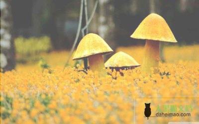 教师辞职报告范文11篇