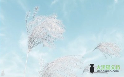 精编版教师退休申请书范文4篇