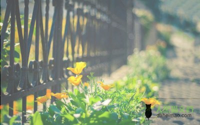 传家训扬家风演讲稿5篇